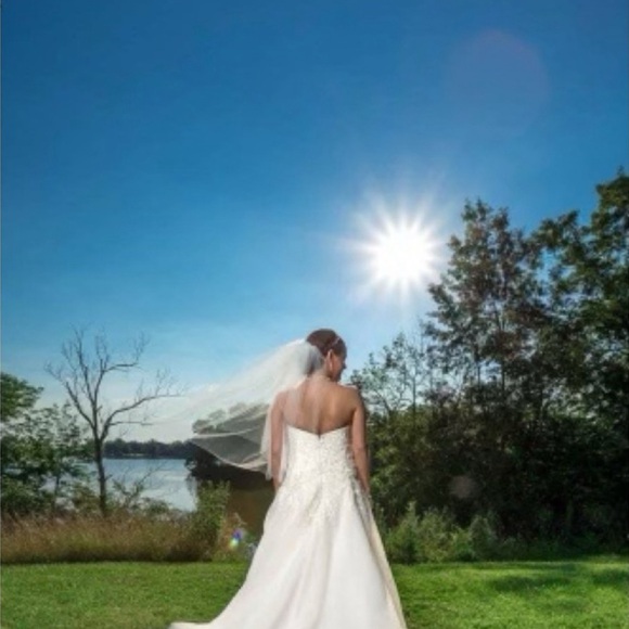 Wedding dress ft. bold beading w/Swarovski crystals on Lucia embroidered Motif - Picture 8 of 10